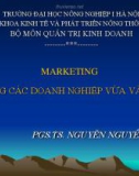 Bài giảng Marketing trong các doanh nghiệp vừa và nhỏ - PGS.TS. Nguyễn Nguyên Cự