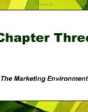 Lecture Principles of Marketing - Chapter 3: The marketing environment