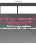 Dịch vụ truyền thông / quảng bá qua tin nhắn SMS