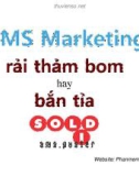 SMS Marketing rải thảm bom hay bắn tỉa