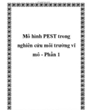 Mô hình PEST trong nghiên cứu môi trường vĩ mô - Phần 1