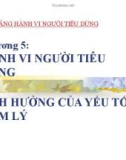 Bài giảng Hành vi người tiêu dùng: Chương 5