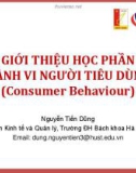 Bài giảng Hành vi người tiêu dùng ( Nguyễn Tiến Dũng) - Giới thiệu học phần hành vi người tiêu dùng