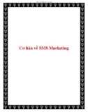 Cơ bản về SMS Marketing