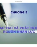 SLIDE QUẢN TRỊ NHÂN LỰC - CHƯƠNG 5: ĐÀO TẠO VÀ PHÁT TRIỂN NGUỒN NHÂN LỰC