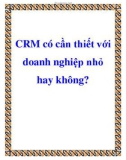 CRM có cần thiết với doanh nghiệp nhỏ hay không?