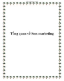 Tổng quan về Sms marketing