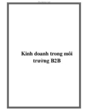 Kinh doanh trong môi trường B2B