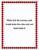 Phân tích thị trường cạnh tranh hoàn hảo như một mô hình kinh tế