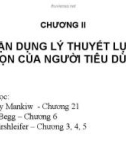 Vận dụng lý thuyết của người tiêu dùng