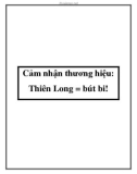 Cảm nhận thương hiệu: Thiên Long = bút bi