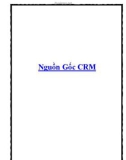 Nguồn Gốc CRM