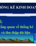 Thống kê kinh doanh - Tổng quan về thống kê và thu nhập dữ liệu