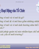 Bài giảng Quản trị học: Chương 3 - Nguyễn Phạm Thanh Nam