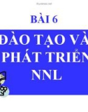 Bài giảng Quản trị nguồn nhân lực: Bài 6 (tt) - TS Phạm Phi Yên