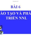 Bài giảng Quản trị nguồn nhân lực: Bài 6 - ThS.Thái Ngọc Vũ