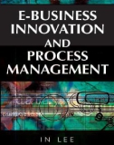 E-Business Innovation and Process Management