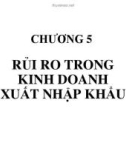 Chương 5 : Quản trị rủi ro trong kinh doanh xuất nhập khâu