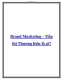 Brand Marketing - Tiếp thị Thương hiệu là gì