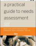 A practical guide to needs assessment