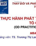 Bài giảng Thay đổi và phát triển tổ chức: Chương 2 - TS. Trương Thị Lan Anh