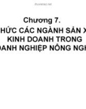 TỔ CHỨC CÁC NGÀNH SẢN XUẤT KINH DOANH TRONG DOANH NGHIỆP NÔNG NGHIỆP