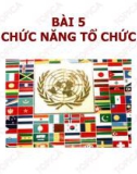 Bài giảng Quản trị học - Bài 5: Chức năng tổ chức