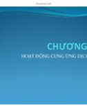 Bài giảng Thương mại hàng hóa và dịch vụ - Chương 3: Hoạt động cung ứng dịch vụ