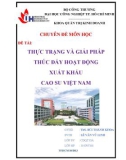 Chuyên đề môn học: Thực trạng và giải pháp thúc đẩy hoạt động xuất khẩu cao su của Việt Nam