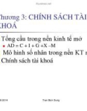 Bài giảng Chính sách tài khóa - Trần Bích Dung