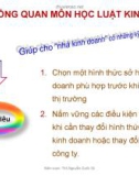 TỔNG QUAN MÔN HỌC LUẬT KINH DOANH