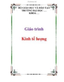 Giáo trình học Kinh tế lượng