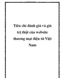 Tiêu chí đánh giá và giá trị thật của website thương mại điện tử Việt Nam