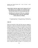 Nhận diện thương hiệu nước mắm xuất xứ Hải Phòng qua nghiên cứu trường hợp thị trường bán lẻ ở nội thành Hà Nội