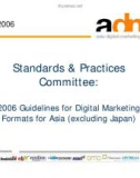 Guidelines for Digital Marketing Formats for Asia