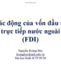 Bài giảng Tác động của vốn đầu tư trực tiếp nước ngoài (FDI) - Nguyễn Hoàng Bảo