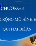 Bài giảng Kinh tế lượng - Chương 3: Mở rộng mô hình hồi qui hai biến (39 tr)