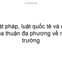 Luật pháp, luật quốc tê và các thỏa thuận đa phương về môi trường