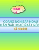 Bài 6 : Hiện đại hóa công nghiệp hóa