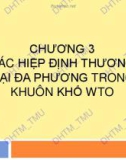 Bài giảng Luật Thương mại quốc tế - Chương 3: Các Hiệp định thương mại đa phương trong khuôn khổ WTO