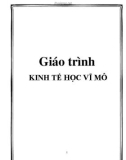 Giáo trình học môn Kinh tế học vĩ mô