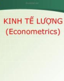 KINH TẾ LƯỢNG (Econometrics)