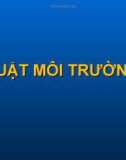 Định nghĩa luật môi trường