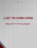 Bài giảng Luật tài chính công: Bài 2 - TS. Vũ Duy Nguyên