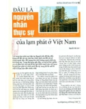 Đâu là nguyên nhân thực sự của lạm phát ở Việt Nam