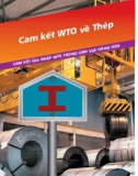 Hệ thống ngắn gọn về WTO và các cam kết gia nhập của Việt Nam - Cam kết WTO về thép