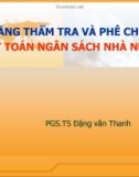 Bài giảng Kỹ năng thẩm tra và phê chuẩn quyết toán ngân sách Nhà nước - PGS.TS. Đặng văn Thanh