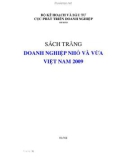 Sách trắng Doanh nghiệp nhỏ và vừa Việt Nam 2009