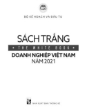 Sách trắng doanh nghiệp Việt Nam năm 2021