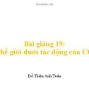 Bài giảng Kinh tế vĩ mô - Lý thuyết và thảo luận chính sách: Bài 19 - Đỗ Thiên Anh Tuấn